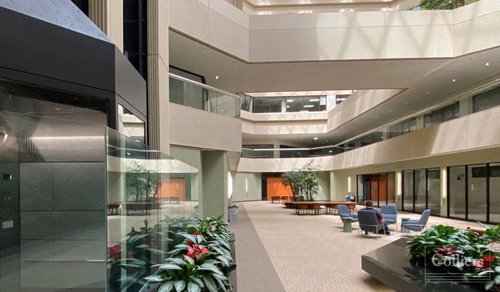 Transpacific Centre for Lease